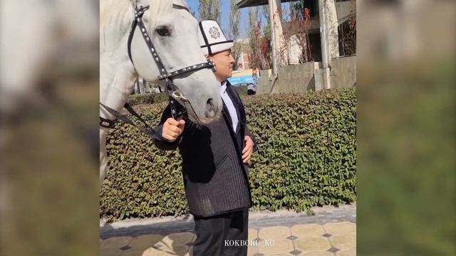 КОК БОРУ ФЕДЕРАЦИЯСЫНА ЖАНЫ ПРЕЗИДЕНТ ДАЙЫНДАЛДЫ/ АЛ КАНДАЙ УБАДАЛАРДЫ БЕРДИ? смотреть онлайн