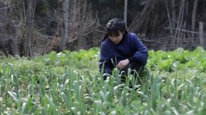Тарелка ароматной каши Лаба согревает сердце и желудок.
