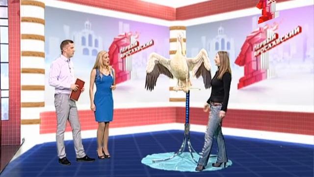 Пеликан смотреть онлайн