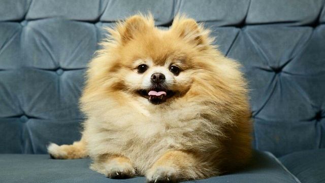 1 смотреть онлайн