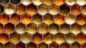 Секреты продуктов пчеловодства. Ким В.Н.