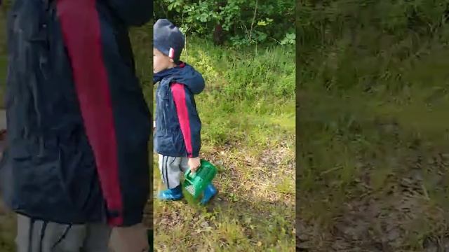 Я и мой котик рыжик смотреть онлайн