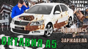 Шкода Октавия с пробегом 200+ тысяч / Содержание Октавии А5 / Все сломалось и заржавело...