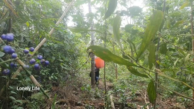 What Remains After The Rain. Life Of A 15 Year Old Single Mother