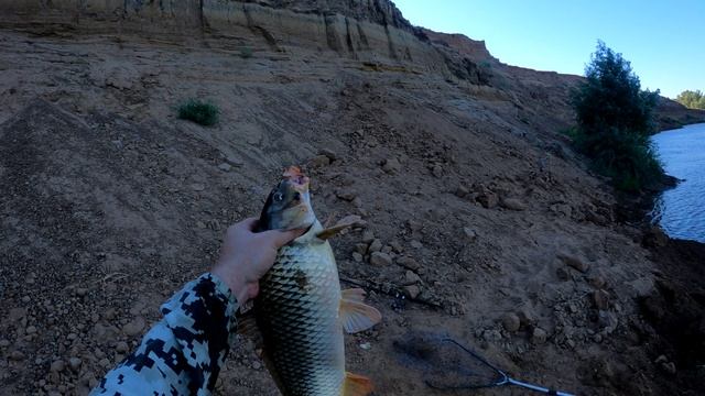 Ловля сазана на донки. Летняя рыбалка на реке Ахтуба смотреть онлайн