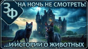 190 Истории Зрителей ｜ Вторую часть на ночь не смотреть!