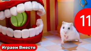 Лабиринт для Хомяка ! Хомяк попал в ЗАГАДОВЧНЫЙ ЛАБИРИНТ С ЛОВУШКАМИ ! Видео для детей