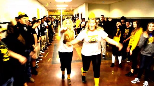 Smith-Cotton High School Lip Dub 2016 #SCTigerDub2k16