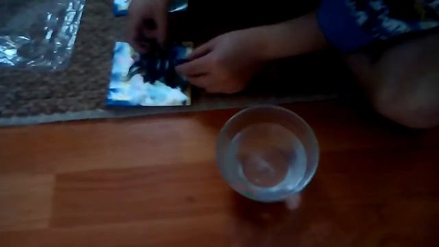 первая распаковка "Игуаны и Ко" смотреть онлайн