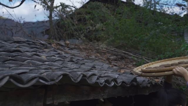 施甸臭豆豉——冬日稻草窝里捂出的美味【滇西小哥】