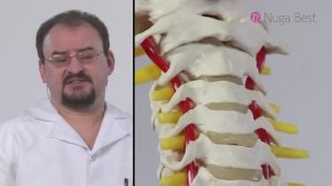 Рекомендации врача _ Болит спина