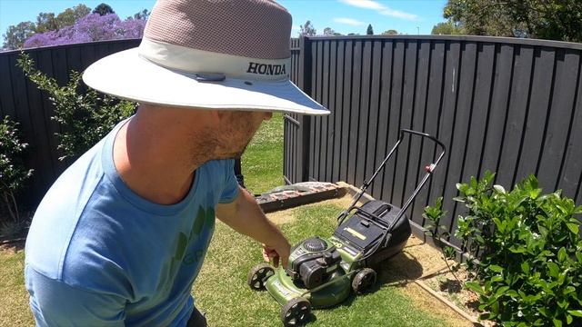 'It's a great day for a... ZOYSIA LAWN RENOVATIONN. Part 1. Picturesque jacaranda. LETSSS GOOOOO. смотреть онлайн