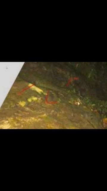 Misteri Dua Pendaki Wanita yang Hilang dan Meninggal di Hutan Panama #Shorts смотреть онлайн