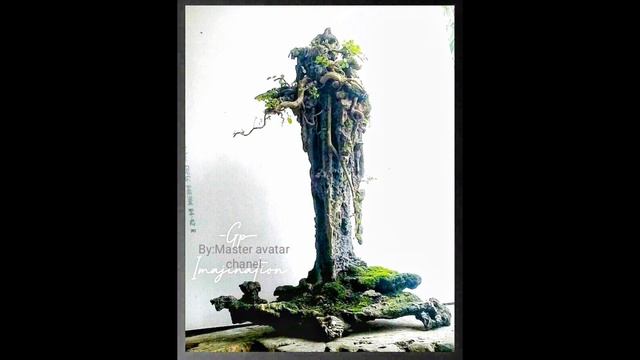 BONSAI VIRAL DAN FENOMENAL@master624 #bonsai #bonsaiontherock #bonsaiviral смотреть онлайн