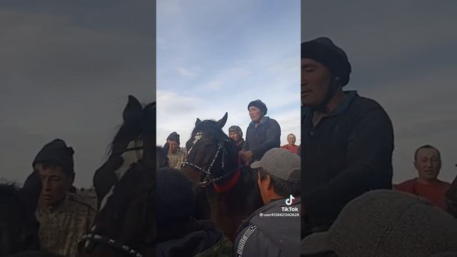Иляз балбан Тогуз карага салым салган смотреть онлайн