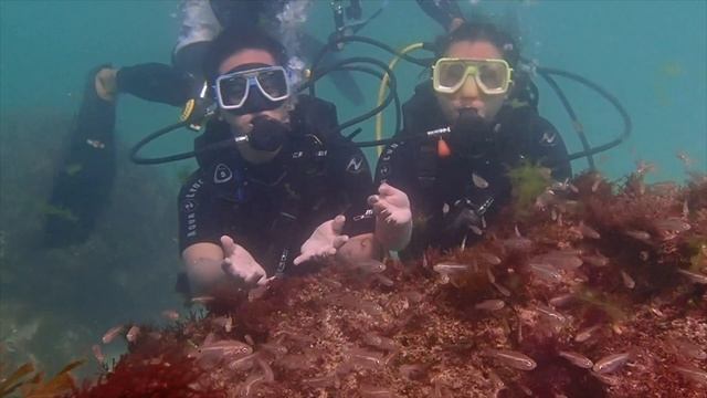 #Boracay Day 3: Becoming A Mermaid, Land Tour (Puka Beach, Keyhole, Newcoast, Etc.) Scuba Diving