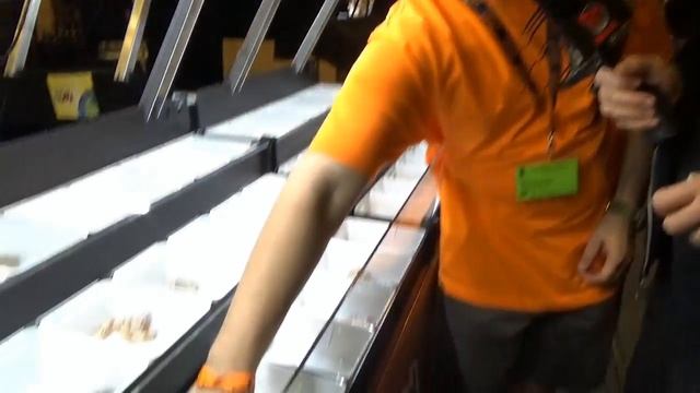Pink Panther VPI T+ Boa Constrictors at NARBC Tinley Park- Part 6 смотреть онлайн