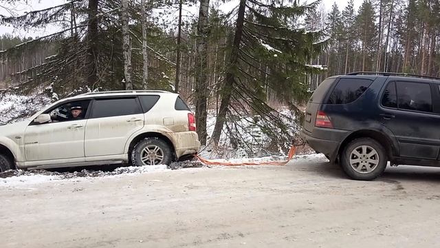 11 ноября 2022 г.