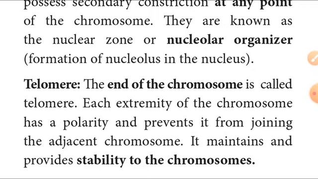 10th Science unit 18 Genetics explain in tamil(chromosomes,types,structure,karyotype) part 4 смотреть онлайн