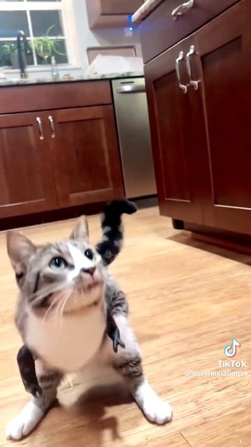 Я ❤️ агату смотреть онлайн