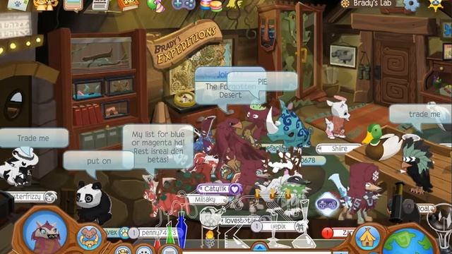 BLACK Candy Cane Socks EXPLAINED! ~ Animal Jam смотреть онлайн