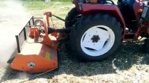 Покос камыша мульчиром .чистим речку