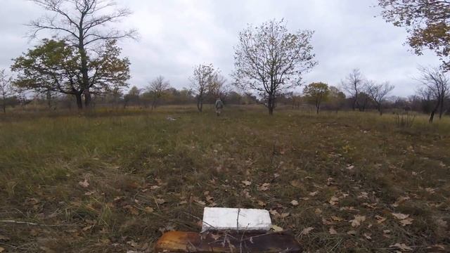 Длинный лук Mark (longbow Mark) смотреть онлайн