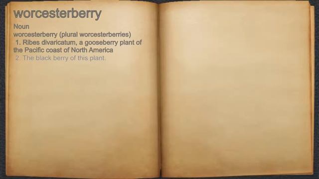 What does worcesterberry mean? смотреть онлайн