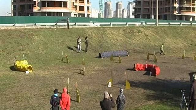 Аджилити Kasta26 10 2014 05 смотреть онлайн