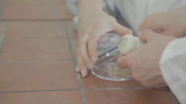 Пензенская ГСХА смотреть онлайн