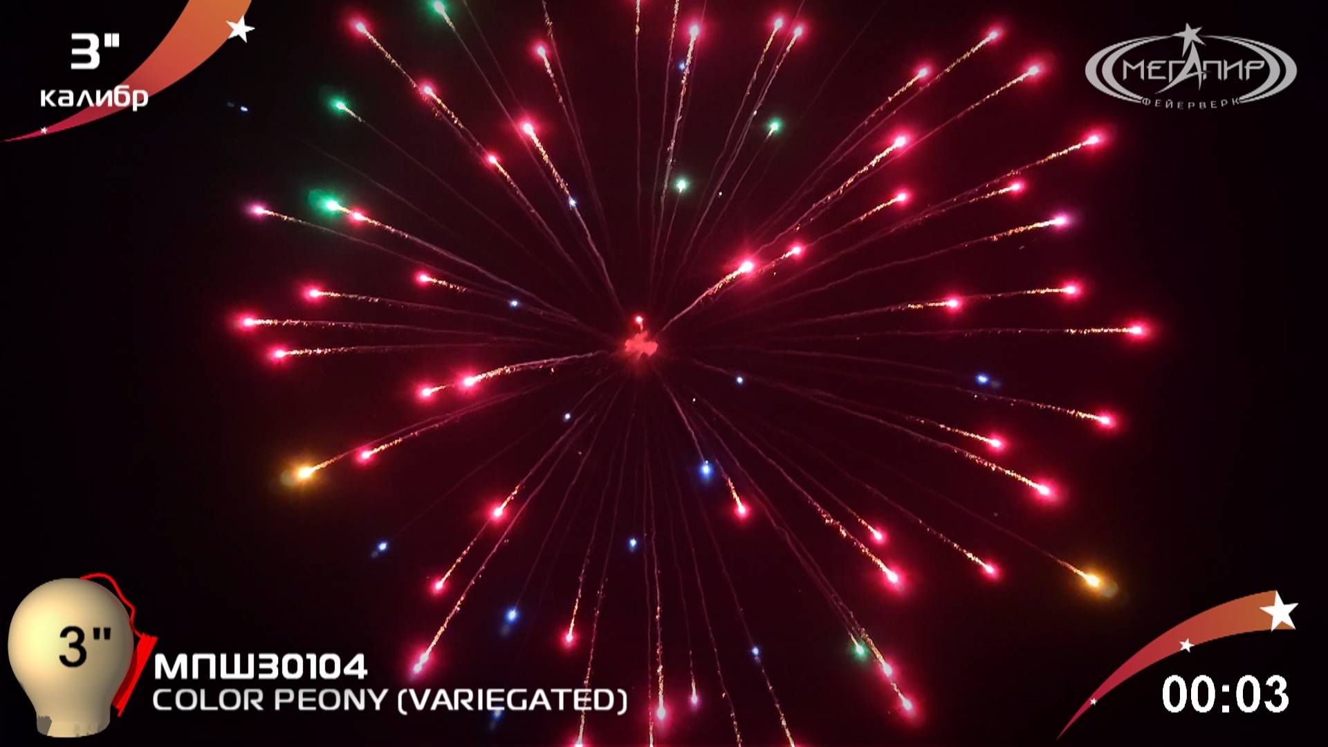 COLOR PEONY (VARIEGATED) МПШ30104 смотреть онлайн