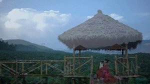 У меня здесь ароматное и сладкое вино из лотоса. У вас есть история?