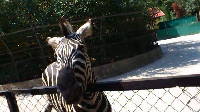 Мой фильм 2.wmv смотреть онлайн