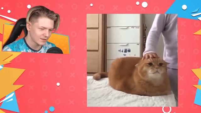 *НЕОБЫЧНЫЕ* МЕМЫ
фокснео