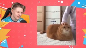 *НЕОБЫЧНЫЕ* МЕМЫ
фокснео