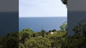 Как недорого снять жилье в Ялте