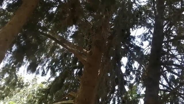 و انا نقول علاه مصلحلي والو смотреть онлайн