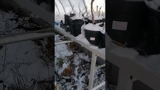 13 января 2024 г. смотреть онлайн