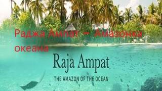 Раджа Ампат – Амазонка океана