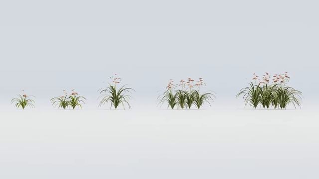 3d Model of Hemerocallis Fulva Flowering plants (Orange daylily) (5 Plants) смотреть онлайн