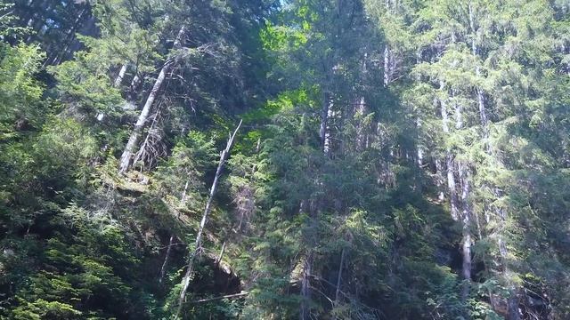 Прутець Чемигівський. Гірська річка, блакитна стрічка Карпат смотреть онлайн