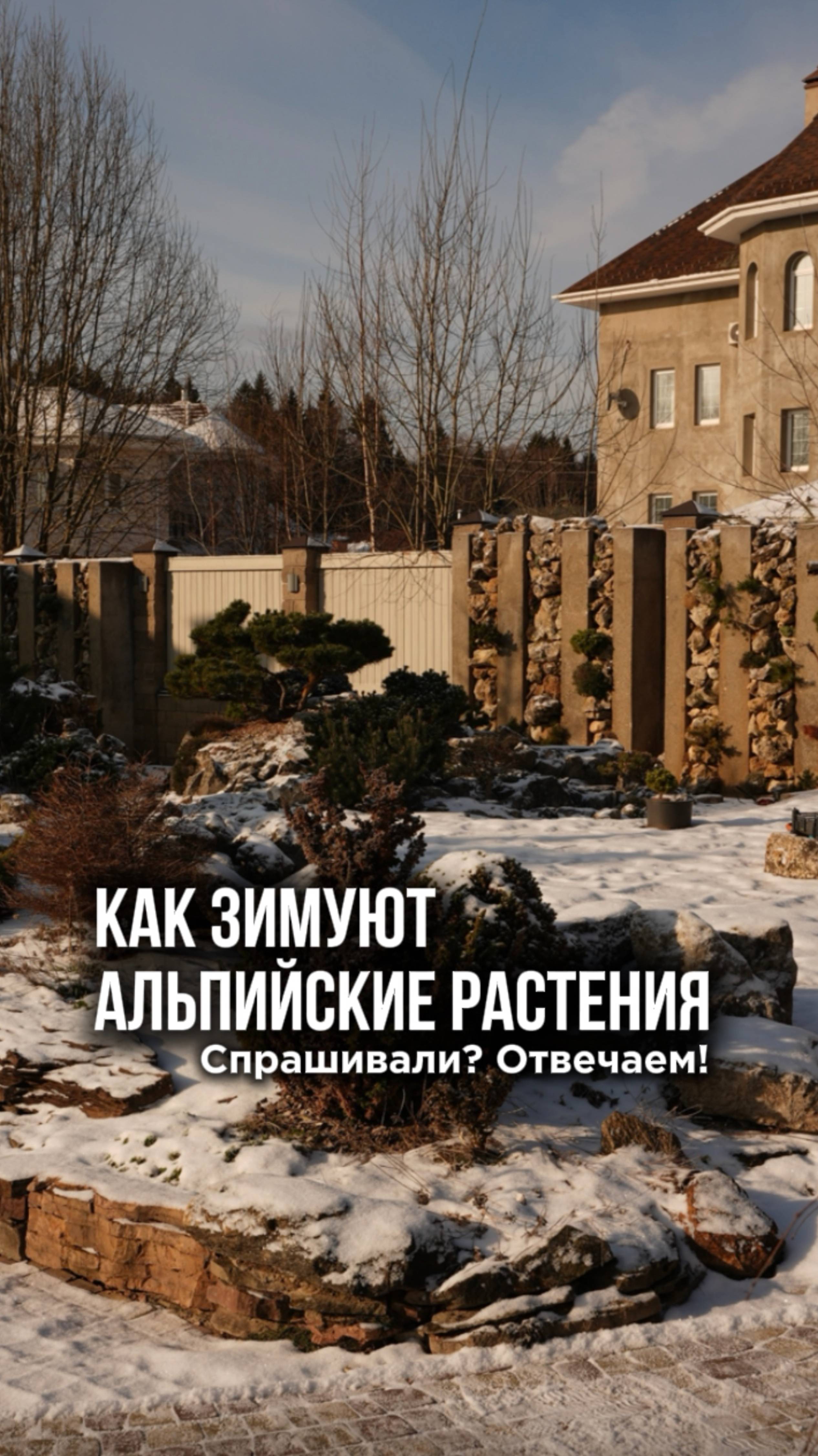 Вы часто спрашиваете как зимуют мои альпийские горки - рассказала и показала наглядно в видео. смотреть онлайн