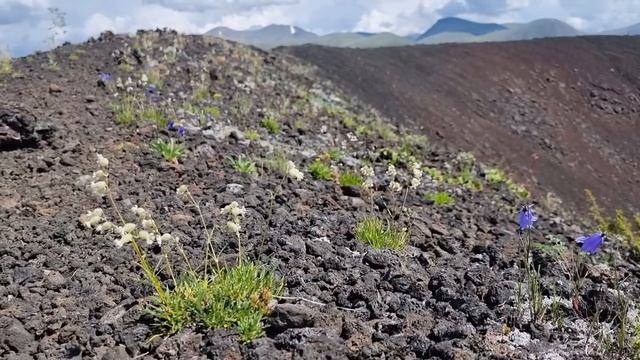 Долина вулканов 2023 день 7 смотреть онлайн