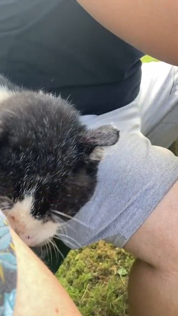 Как же хочется #лето #2025 #подпишись