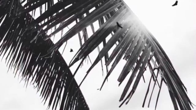 Mr Lambo - Slow Dance смотреть онлайн