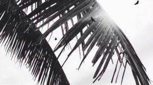 Mr Lambo - Slow Dance