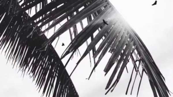 Mr Lambo - Slow Dance