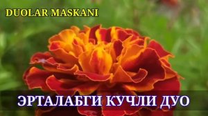 ЭРТАЛАБГИ КУЧЛИ ДУО