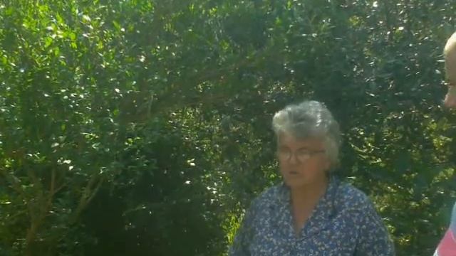 Ботаническата градина в село Велика част3 смотреть онлайн