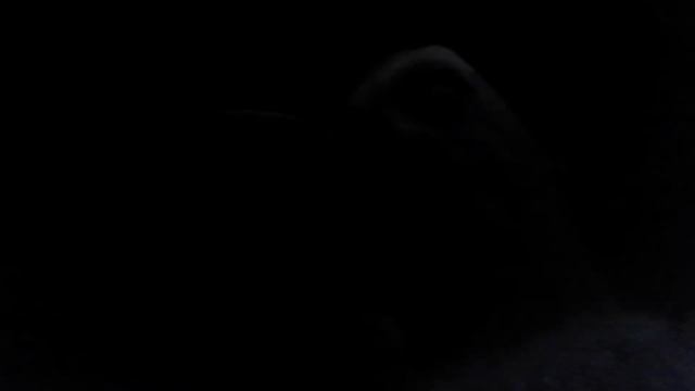 07-02-2011 - яблоневый сад за окном - 4 смотреть онлайн